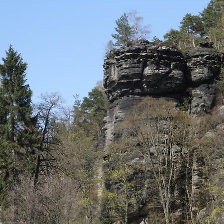 Ferienwohnung Jagdschloss Bielatal Rosenthal-Bielatal Exterior foto