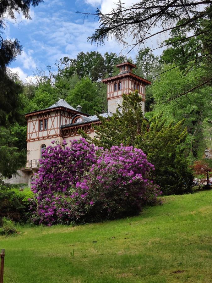 Ferienwohnung Jagdschloss Bielatal Rosenthal-Bielatal Exterior foto