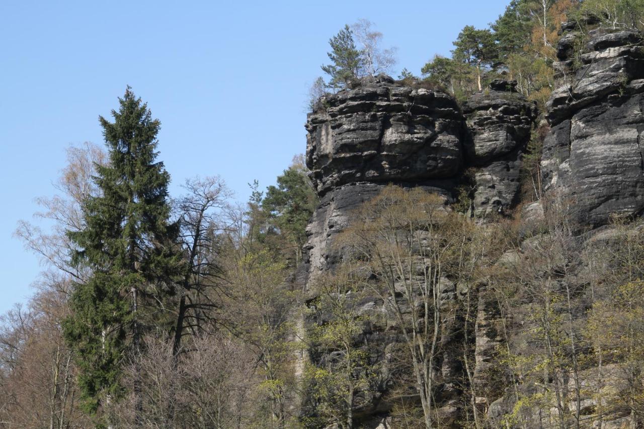 Ferienwohnung Jagdschloss Bielatal Rosenthal-Bielatal Exterior foto