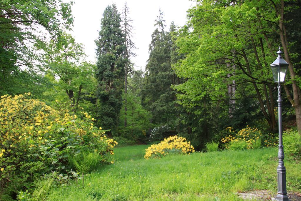 Ferienwohnung Jagdschloss Bielatal Rosenthal-Bielatal Exterior foto